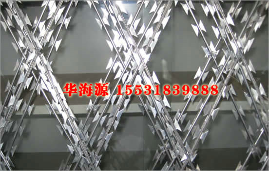 ֱ(xin)͵Ƭ̾W(wng)