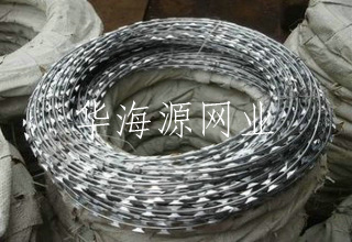 刀刺網(wǎng)