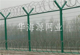 刀刺網(wǎng)